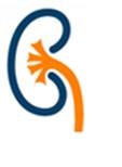 practice logo